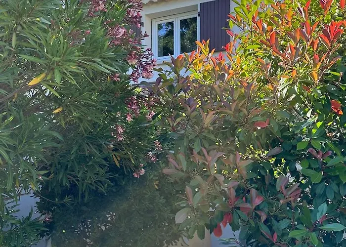 Mazet Avec Piscine Privee Proche Et Commerces A Trois Mn A Pied A Valmer Σπίτι διακοπών